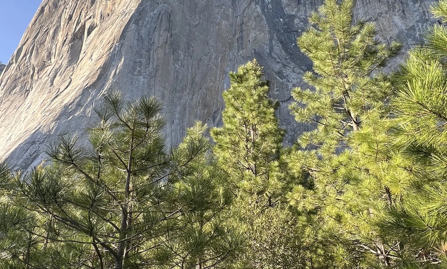 Image 15: ✈ America’s Great West: A National Parks Expedition from Worldee