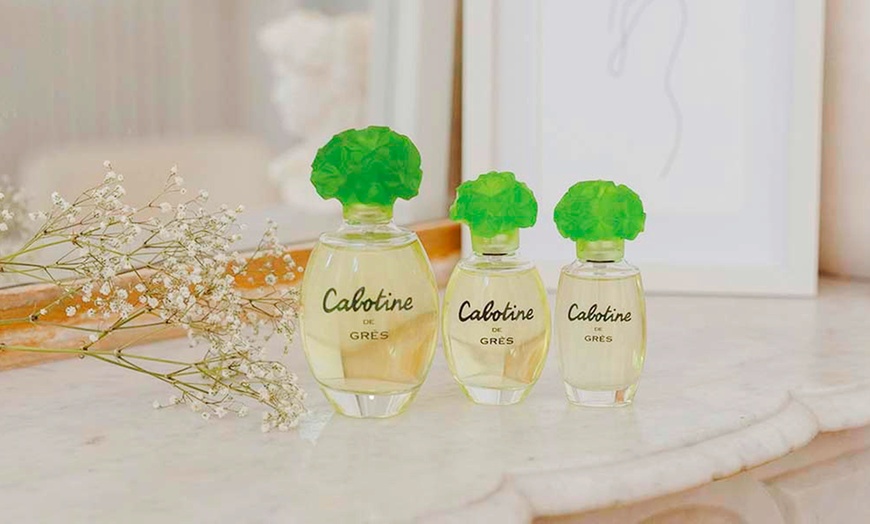 Image 4: Fragancia eau de parfum o eau de toilette a elegir, de Parfums de Grès