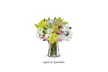 Baby's First Blooms: Welcome a Little One with New Baby Bouquets from Blooms Today with Delivery Included Up to 17% Off - Second Medium