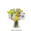 Image 3: Same Day New Baby Bouquets from Blooms Today with Vase & Delivery Up to 17% Off