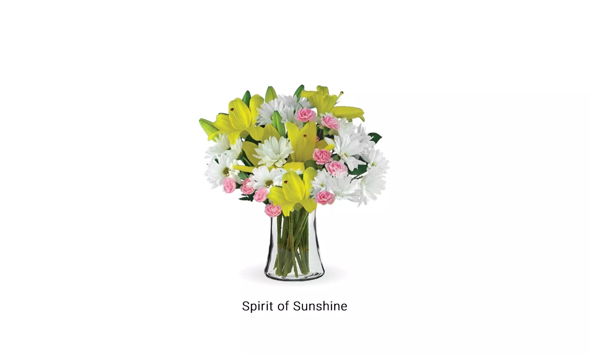 Welcome a Little One with New Baby Bouquets from Blooms Today Up to 17% Off