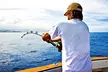 4-Hour 1PM Fishing w/ Rod in Sea Isle City, NJ for Up to 4 People with Starfish Fishing & Cruising LLC (Up to 40% Off) - Second Medium