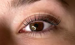 Soin fortifiant des cils avec Lash Lifting ou sourcils avec Brow Lift par TANLASH (jusqu'à 31% de remise)