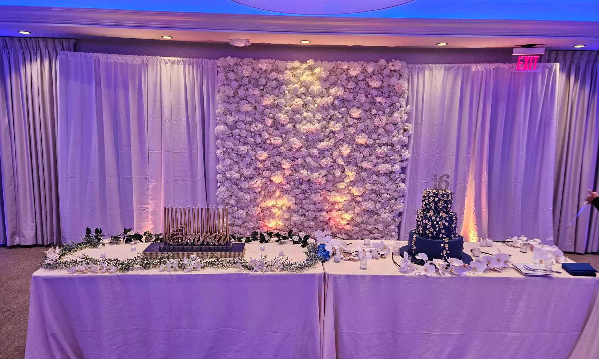 Flower Wall, Green Grass Wall  or LED Wall Rental w/ any Photo Booth