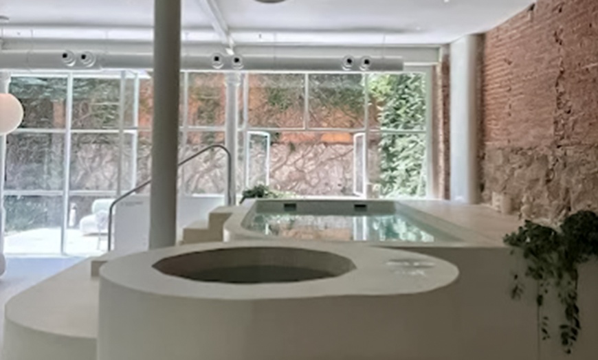 Image 1: Par Iniciación, Silka, Vapor Clásico, Beauty, Vulkan o Novo en Banya