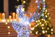 Outsunny Lighted Christmas Reindeer and Sleigh with 170 LEDs - Image 5