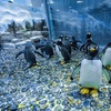Image 6: Explore Dubai Aquarium, Underwater Zoo and Penguin Cove
