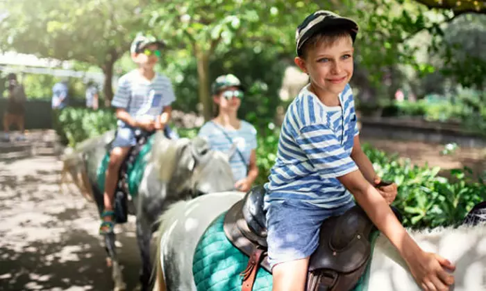 ¡Una actividad única! Paseo en poni de 30 minutos para hasta 6 niños