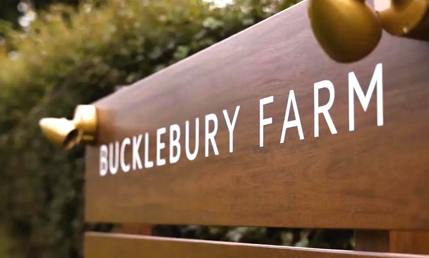 Image 3: Enjoy A Sight of Red, Sika, Fallow & Axis Deers with Soft Play Tickets