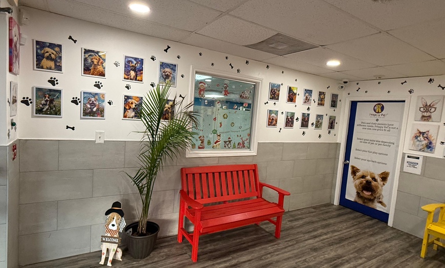 Image 8: Full Service or Doodle/Poodle Full Service Grooming Package for Dogs!