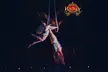 Show de circo "Terra": entrada de niño o adulto a elegir del 15 al 28 de febrero en Barcelona, ahorra hasta 33% - Second Medium