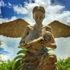 Image 6: Up to 21% Off Historic New Orleans Plantation Tours