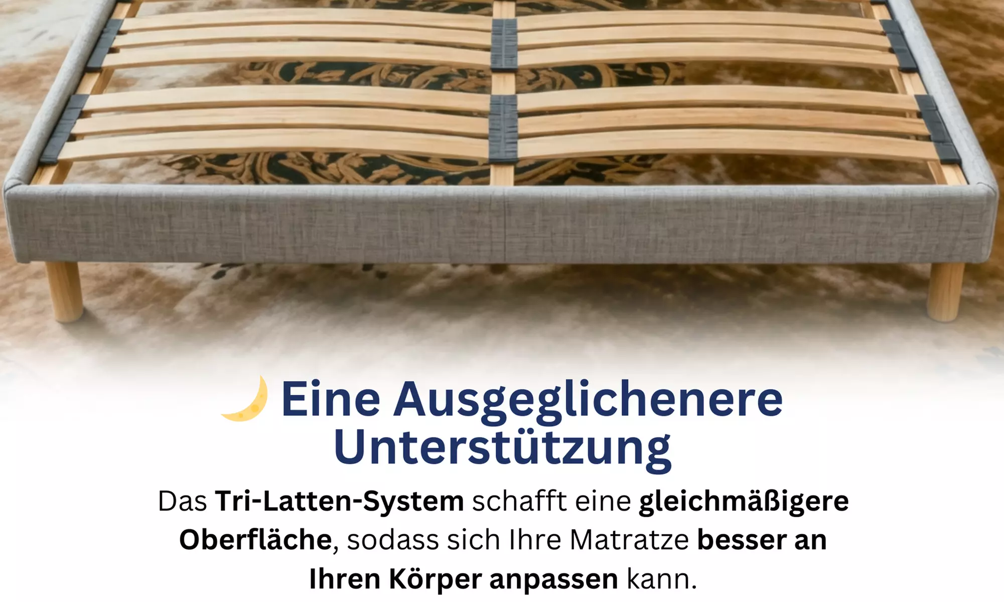 Bettgestell ANTHRA opt. mit Matratze