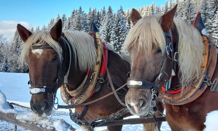 Image 3: 2 Std. winterlich-romantische Pferdekutschen-Fahrt für 2 - 6 Personen