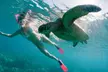 Premium Snorkeling Adventure for 2, 4or 6 at Salty Fresh Fishing Charters (Up to 23%Off) - Second Medium
