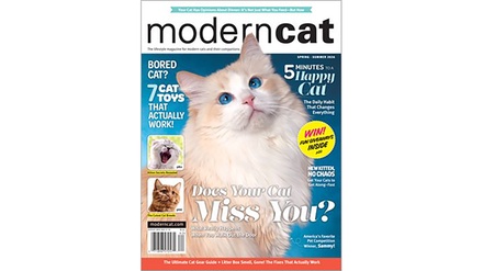 Two-Year Subscription to Modern Cat - Blue Dolphin Magazines