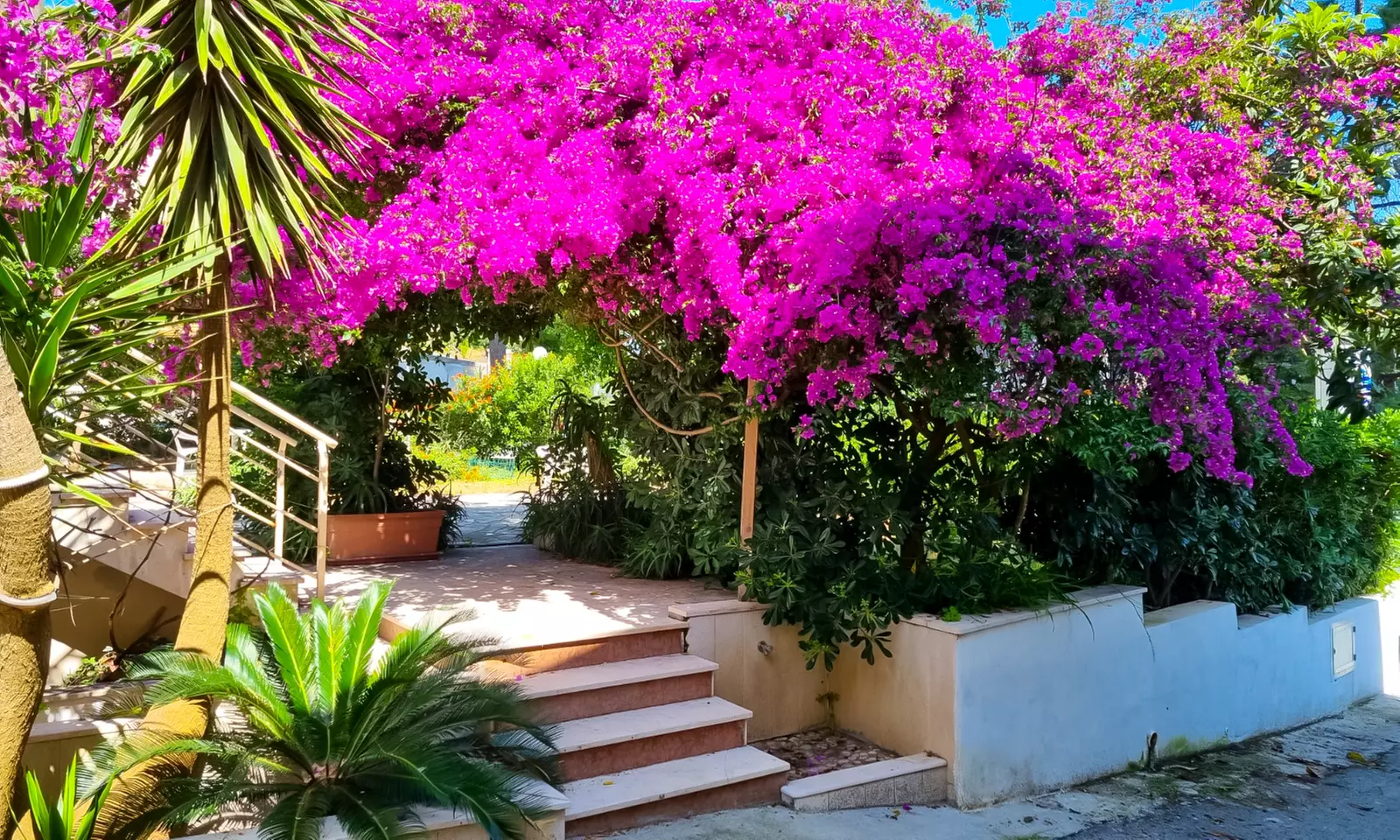 Puglia: 7 notti in camera Classic in pensione completa