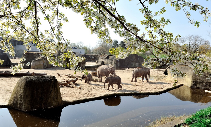 Image 6: Tageskarte Kölner Zoo & Aquarium