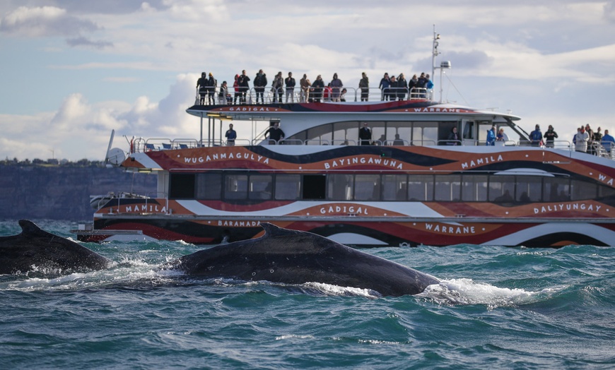 Image 10: Join Whale Watching Sydney for a 2-Hour Express Whale Watching Cruise