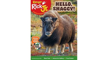 One-Year Subscription - Ranger Rick Jr.