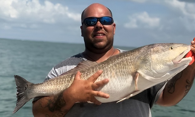 What to expect media