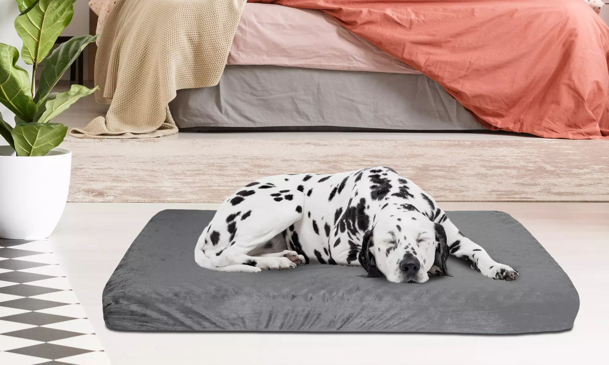 Memory Foam XL Dog Bed 2-Layer Orthopedic Dog Bed Washable Cover  46 x 27