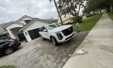 Pink Diamond Package (interior or exterior only) - Ava Zak Mobile Details