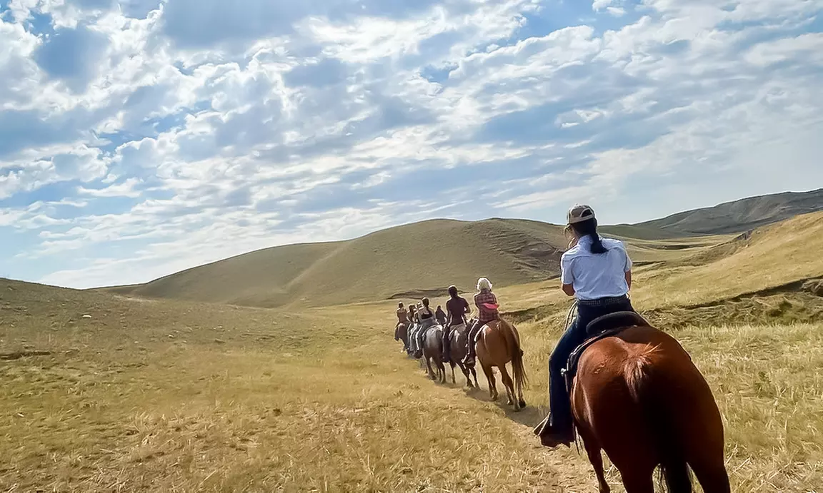 One Hour Horse Back Riding for One, Two, Three or Four 