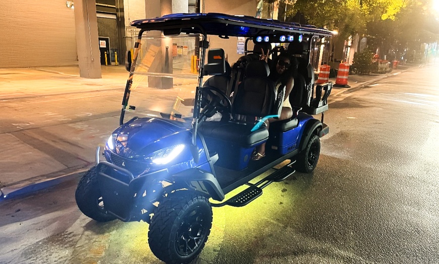 Image 2: VIP Tour Transportation for 1 Person or VIP Tour for Up to 5 People
