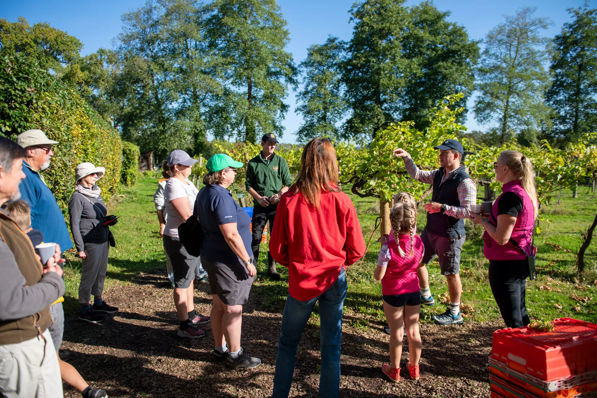 Perfect Gift:Valentine’s Winery&Brewery Experience w/Tasting & Nibbles