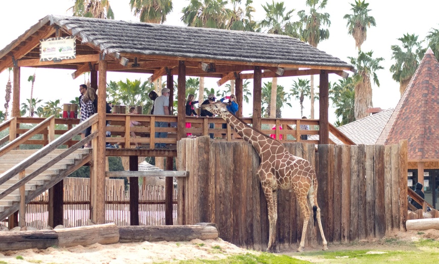 Image 13: Admission to Wildlife World Zoo, Aquarium, & Safari Park