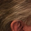 Image 11: Buzz or Scissor & Clipper Cut for Adults – Clean, Easy Style
