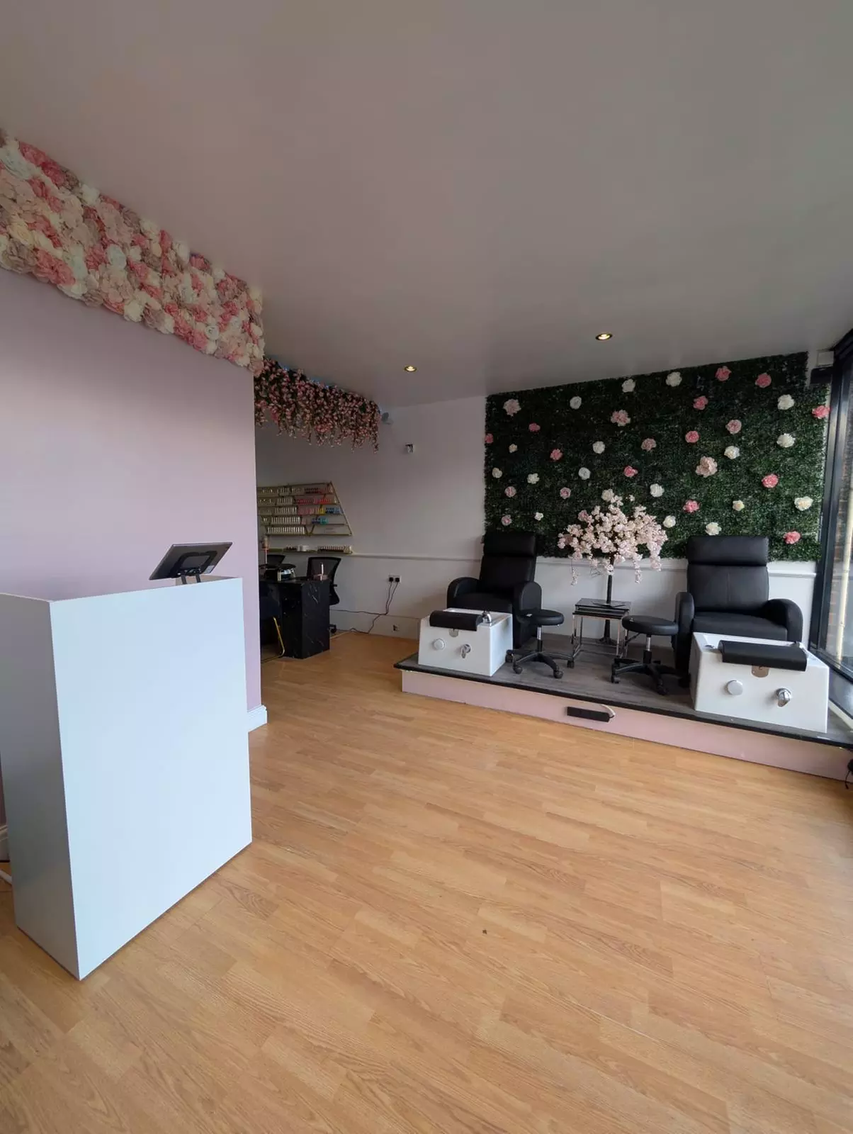 Styled Braids or Twists with Wash Cut and Blow Dry Options