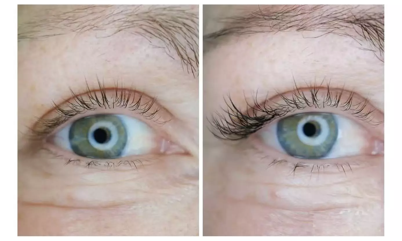 Wimpern- oder Augenbrauen-Treatment nach Wahl für 1 Person