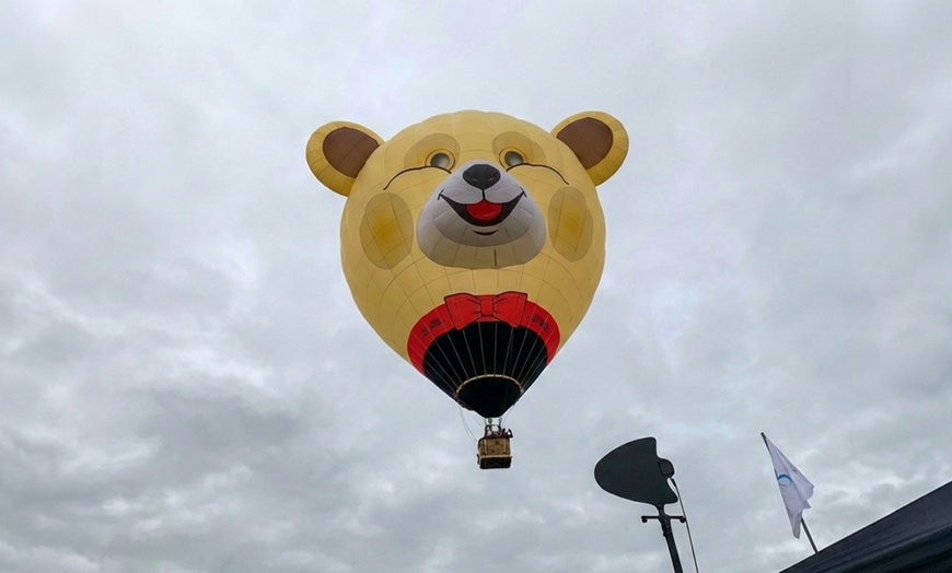 Image 3: Exclusieve belevenis: ballonvaart boven prachtige lokale landschappen