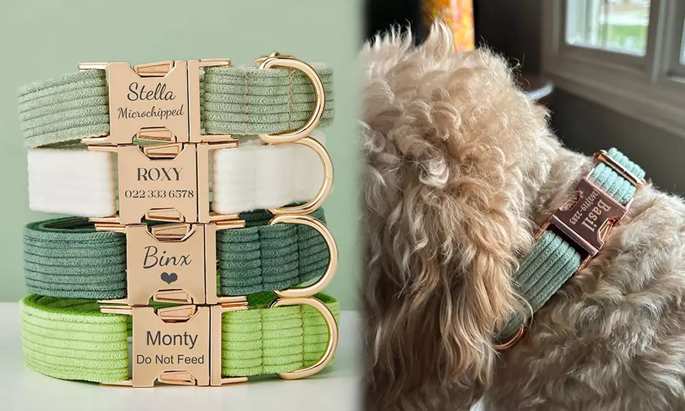 Grab paw-some Custom Pet Collars for your furry buddies