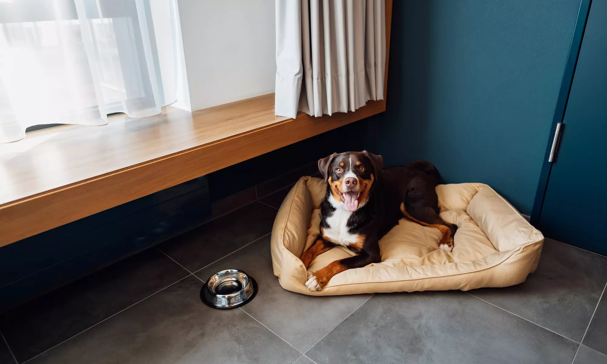 Schwäbische Alb: 2–5 Nächte mit Frühstück mit 1x Dinner oder HP