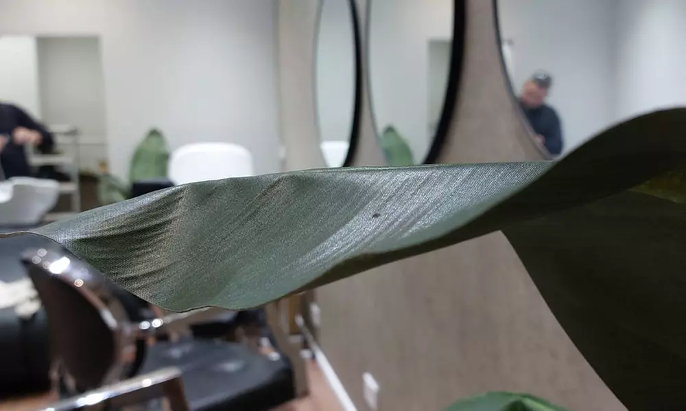 Refresh Look: Wash, Cut & Blowdry or WCB & Half/ Full Head Highlights