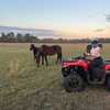 Image 2: Adventure Safari ATV Excursion for One, Two, or Four People 