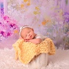 Image 12: Newborn Photography: Get a Standard, Deluxe or Solo Collection