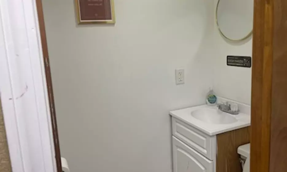 Scissor Haircut w/ Blowout, All Over Color, Partial Highlights, & More