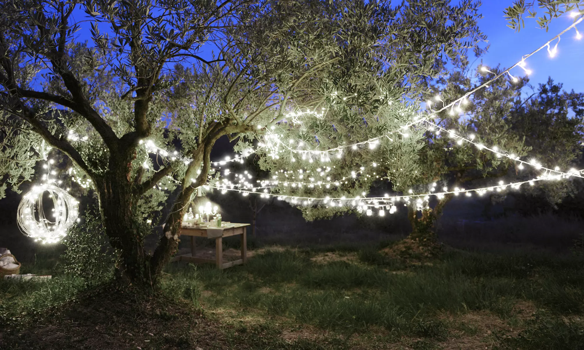 Guirlande d'extérieure solaires, jusqu'à 1000 LED - Primary Image