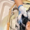 Image 2: Time Pause or Head Charging/Full of Energy- Silky Luxury Scalp Session