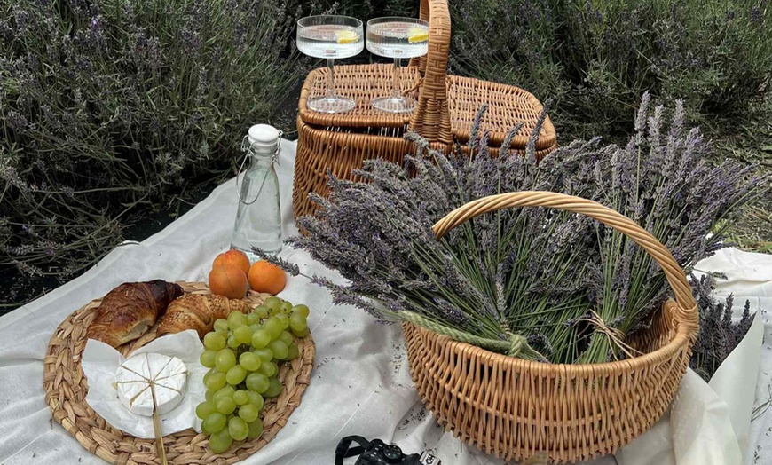 Image 4: Masaż relaksacyjny, klasyczny, Kobido, kamieniami, Abhyanga i więcej 