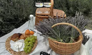 Masaż relaksacyjny, klasyczny, Kobido, kamieniami, Abhyanga i więcej