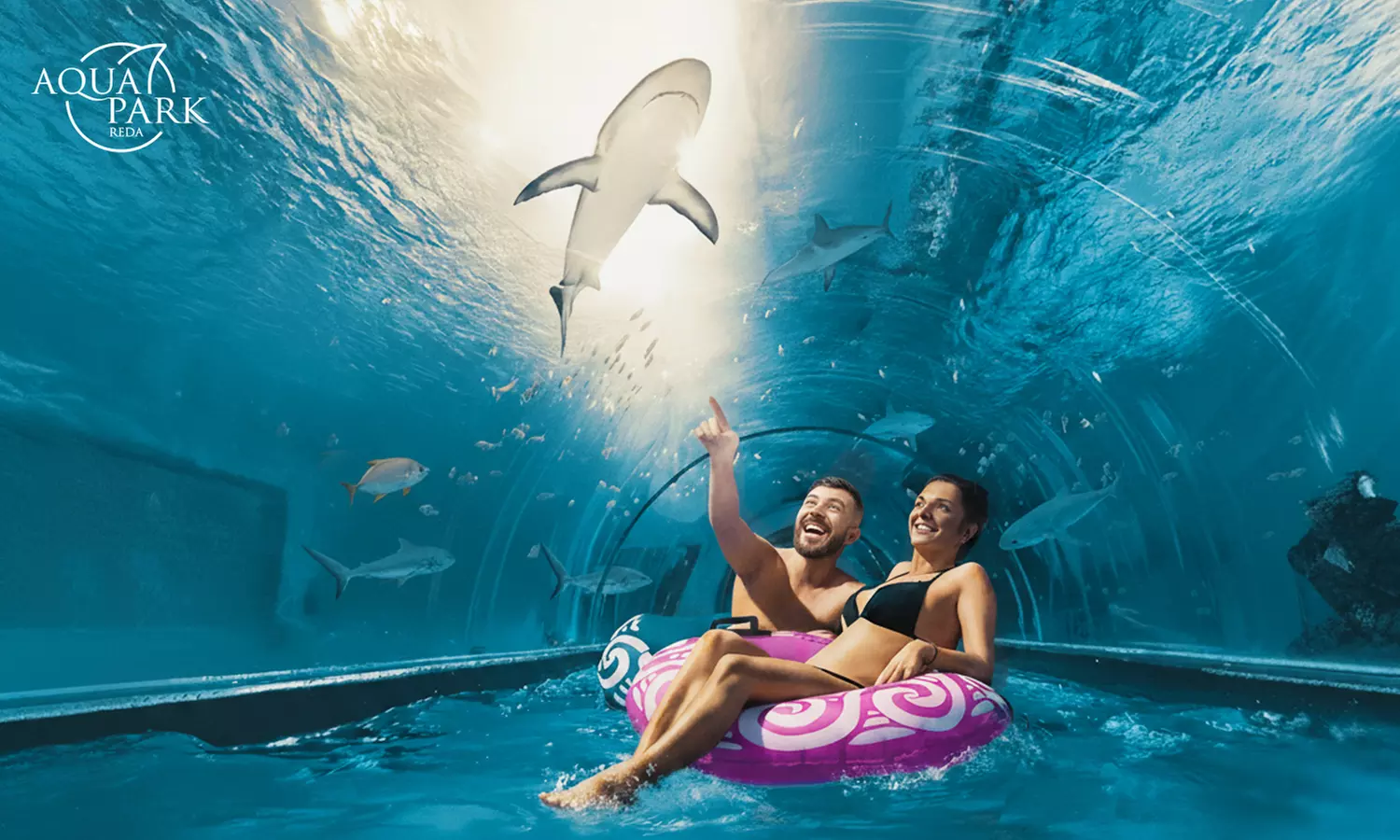 Odkryj Aquapark Reda: zjeżdżalnia w paszczę rekina, tropikalna rzeka, papugarnia, terrarium, saunarium (do -33%) - Primary Image