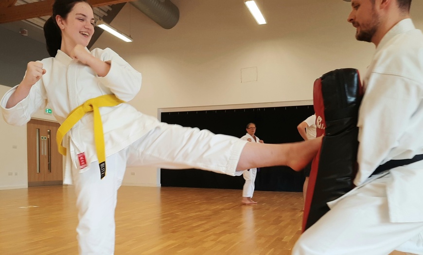 Image 3: Martial Arts / Karate / MMA - Activities at Shobu Kai Karate Academy