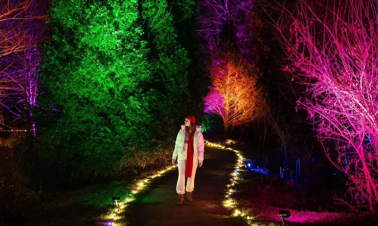 Winter Wander Trail of Lights at Boar's Head Resort