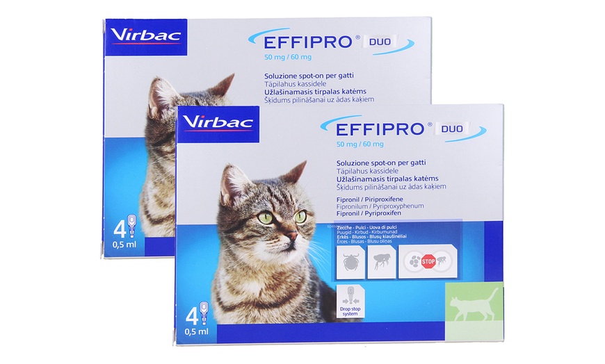 Image 2: Antiparassitario Virbac effipro duo