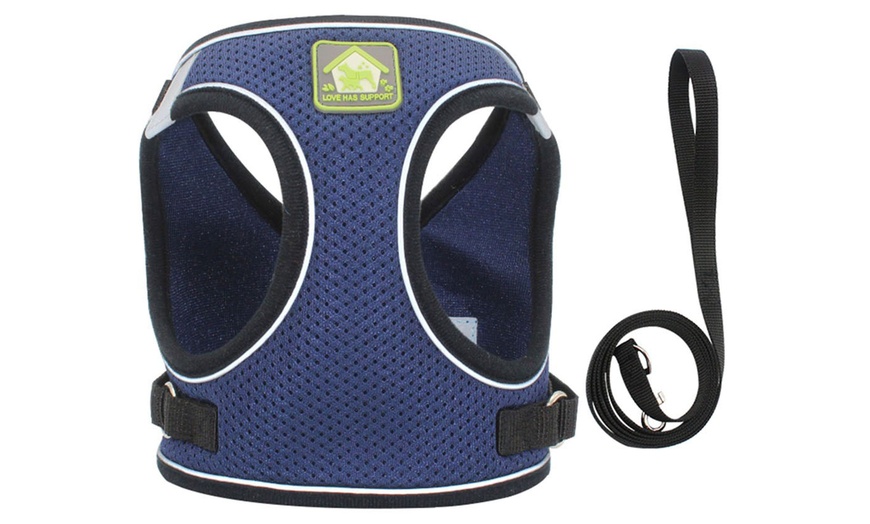 Image 11: Breathable Mesh Step-In Harness and Leash Set for Small Dogs